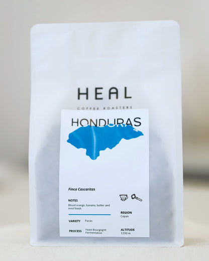 HONDURAS - FINCA CASCARITAS