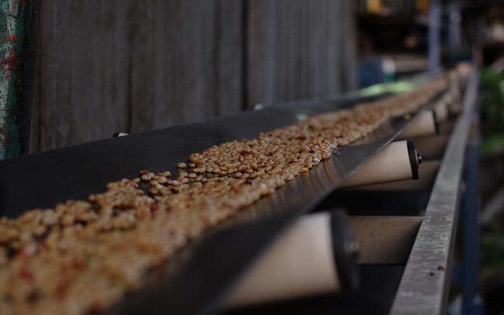 كوستاريكا - لا كانوا