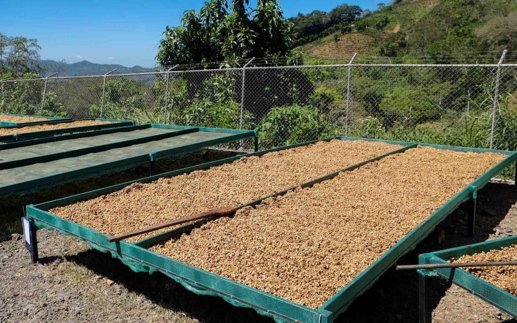 كوستاريكا - لا كانوا