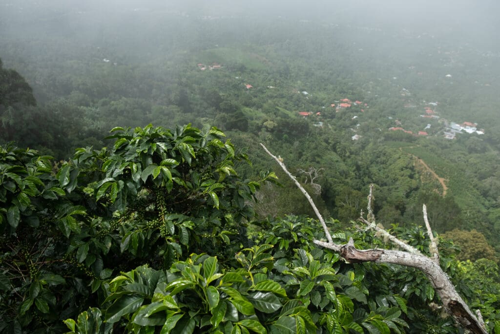 كوستاريكا - لا كانوا